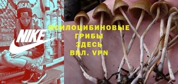 2c-b Михайлов