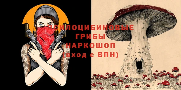 2c-b Михайлов